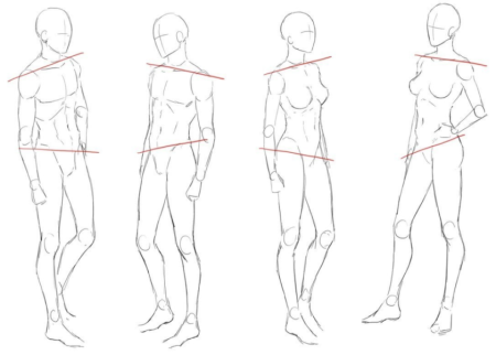 Перспектива тела референс