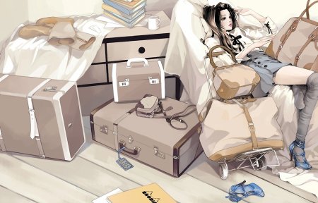 Багаж в аниме