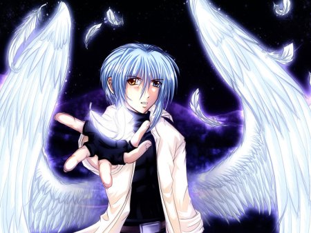 Fallen Энджел аниме