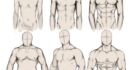 Мужское тело туториал