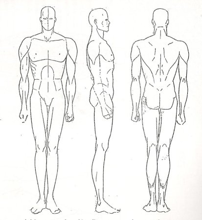 Мужская фигура для рисования