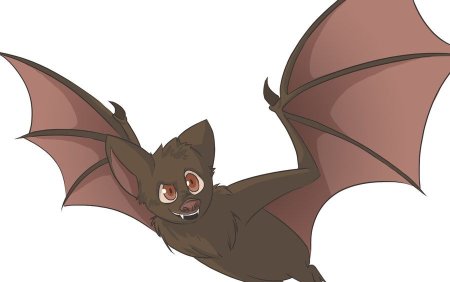 Летучая мышь рисунки аниме (46 фото)