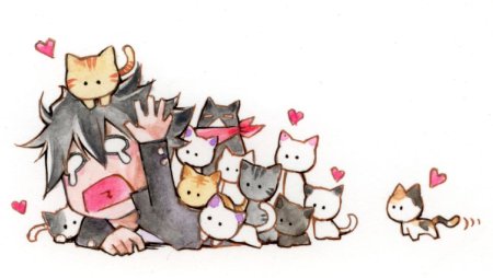 Аниме котики