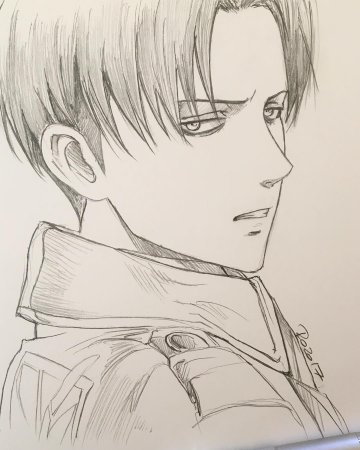 Леви Аккерман лайнарт