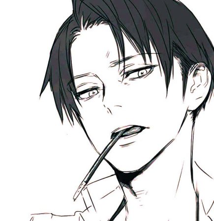 Капрал Леви черно белый