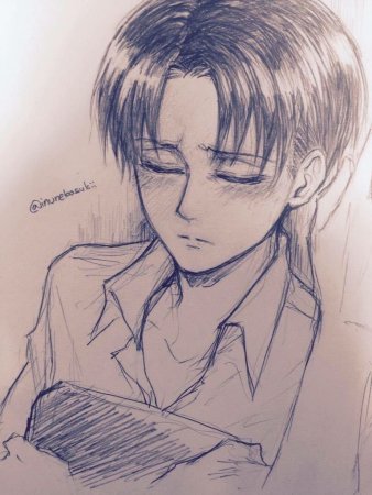 Леви Аккерман inunekosukii