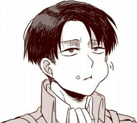 Леви сенпай