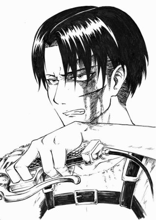 Леви Аккерман