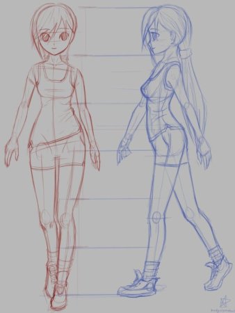 Анатомия для рисования аниме