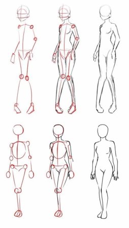 Анатомия человека для рисования