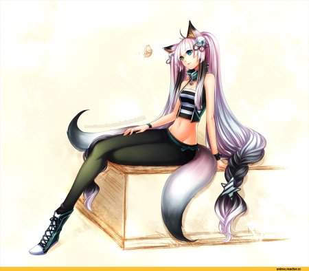 ZENITHOMOCHA Кицунэ