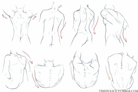 Человек сзади сзади референс