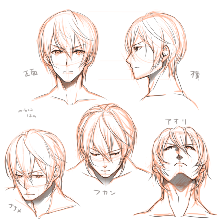 Референс головы аниме парня