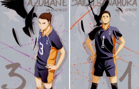 Коллаж Савамура Даичи