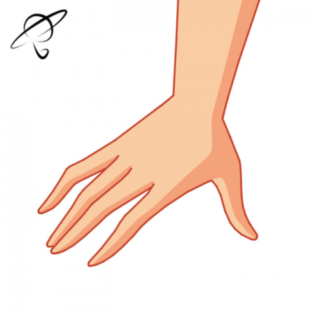 Кисть руки сбоку референс