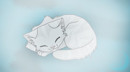 Коты Воители спящий кот