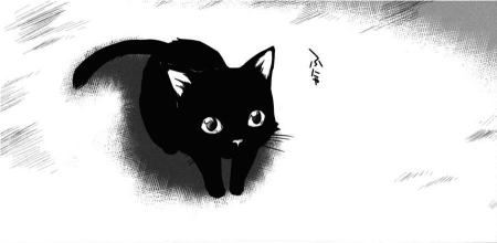Котики чб аниме