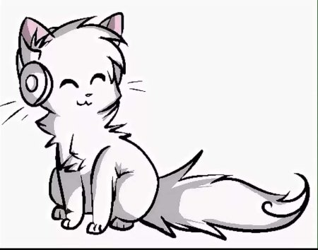 Милые лайны котов