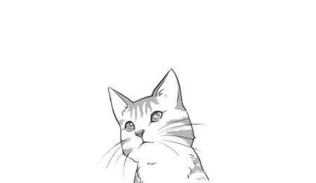 Аниме кошки чб