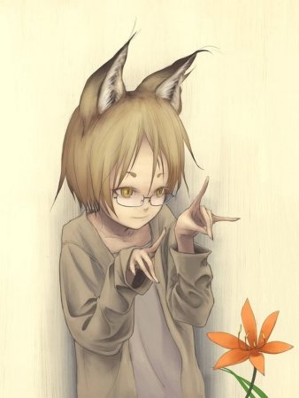 Маленький Кицунэ кун