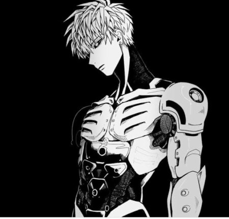 Генос горничная