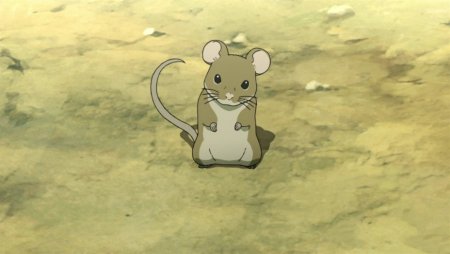 Крыса аниме