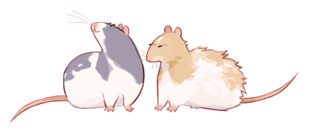 Милые картиночки с крысками