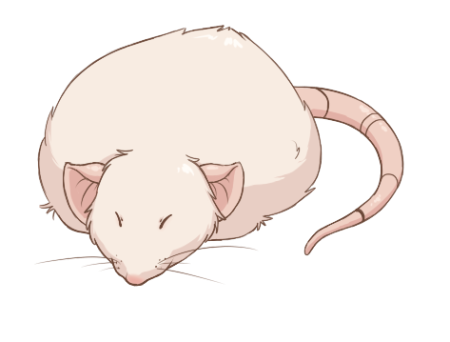 Кавайная крыса