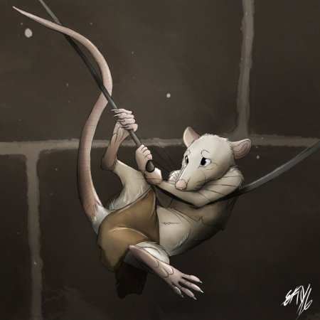 Опоссум аниме