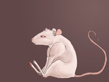Минималистическая крыса