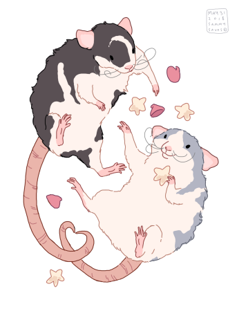 Крыса милый арт