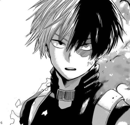 Тодороки шото