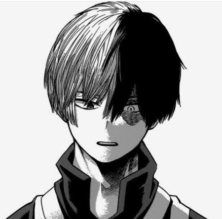 Тодороки чёрно белый