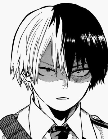 Тодороки шото Манга