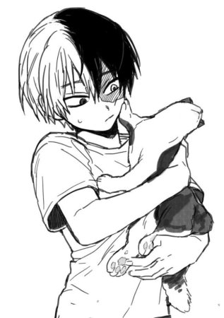 Тодороки шото аниме