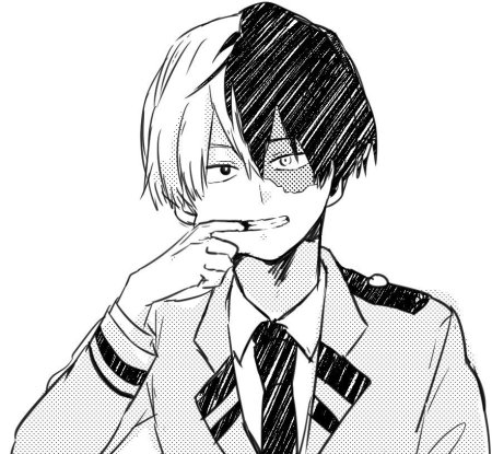 Тодороки шото черно белый