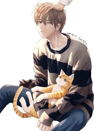 Аниме котики парни