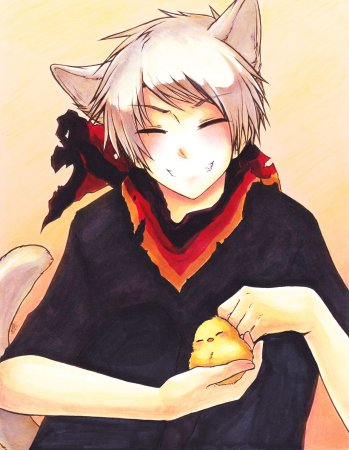 Аниме неко кун Лис