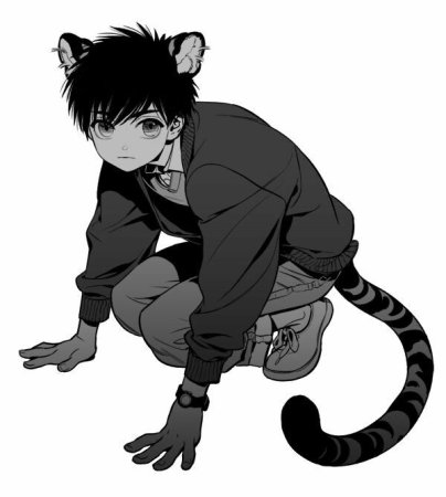 Кун тигр неко Омега