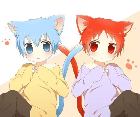 Куроко Тецуя неко