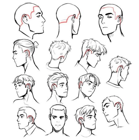 Референс головы с боку