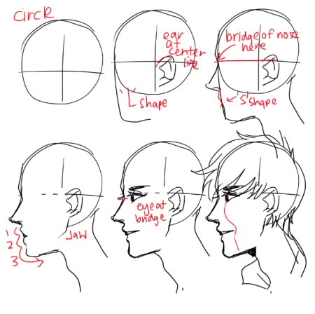 Человеческое лицо сбоку референс