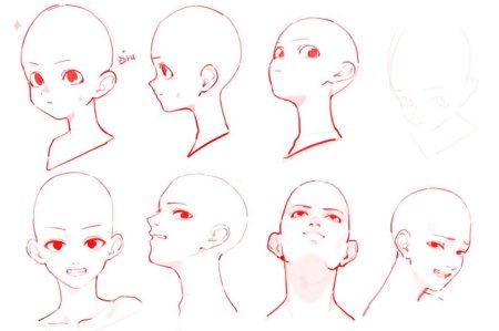 Голова сбоку референс