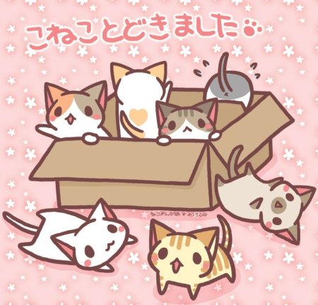 Кавайный котик в коробке