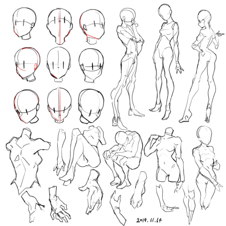 Анатомия для рисования