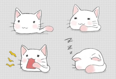 Кавайная мордочка кота