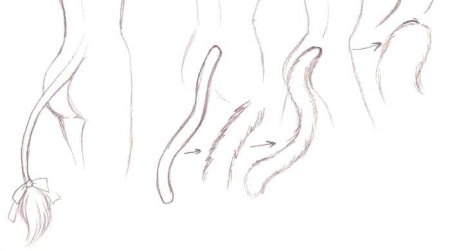 Хвост кошки референс