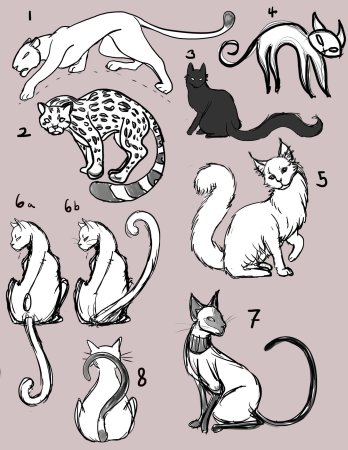 Кошка эскиз