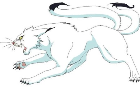 Некомата Наруто