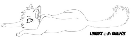 Лайны коты Воители легкие для срисовки